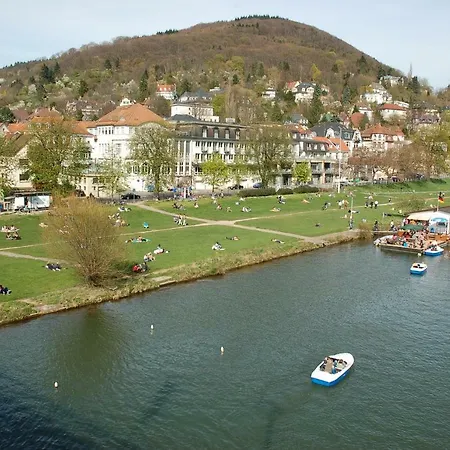 Wohnung Am Neckar Heidelberg Extérieur photo