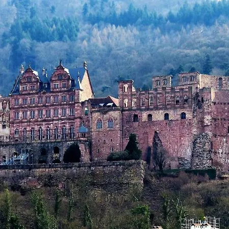Wohnung Am Neckar Heidelberg Extérieur photo
