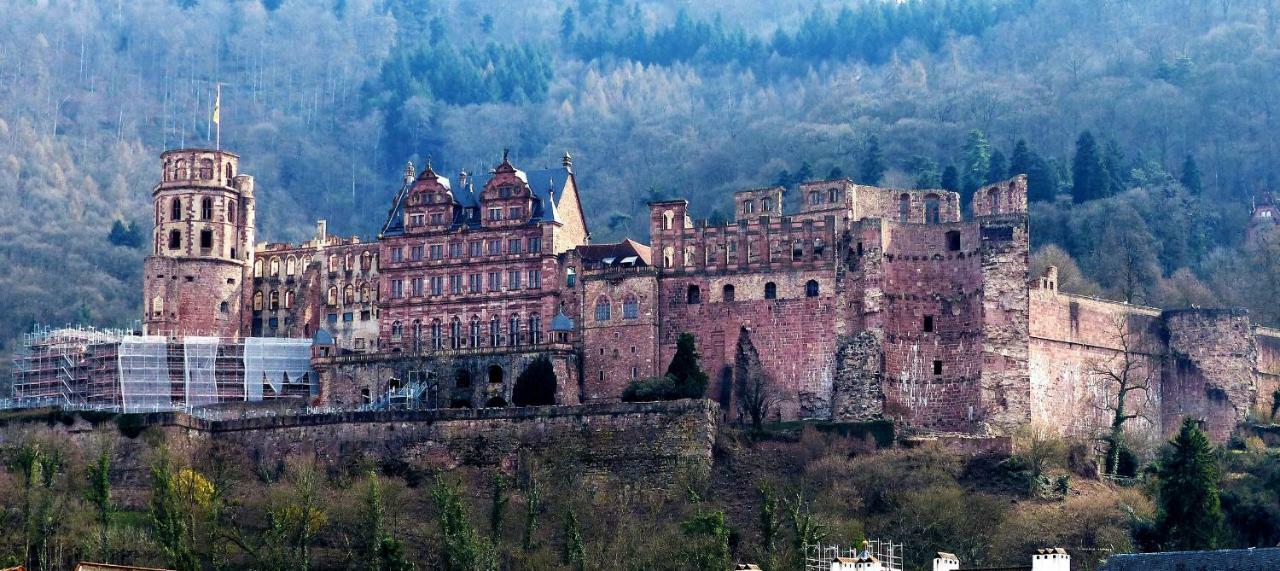 Am Neckar Appartement Heidelberg